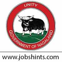 DTE Nagaland OK DTE Nagaland Recruitment 2022 for various posts - 14 vacancies