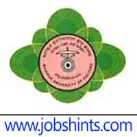 MUC OK MUC Recruitment 2025 for Office Assistant, Controller of Examination, Computer Programmer and other posts